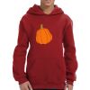 Youth Dri-Power® Pullover Sweatshirt Thumbnail